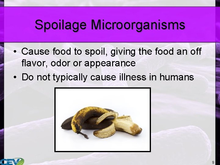 Spoilage Microorganisms • Cause food to spoil, giving the food an off flavor, odor