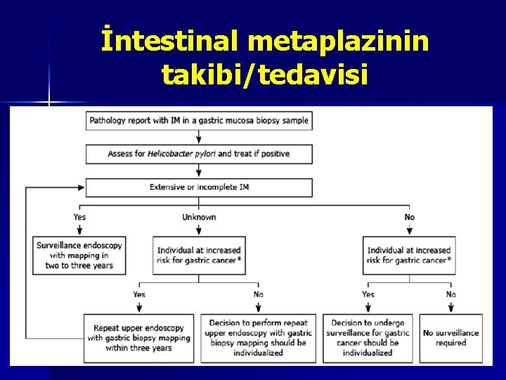İntestinal metaplazinin takibi/tedavisi 