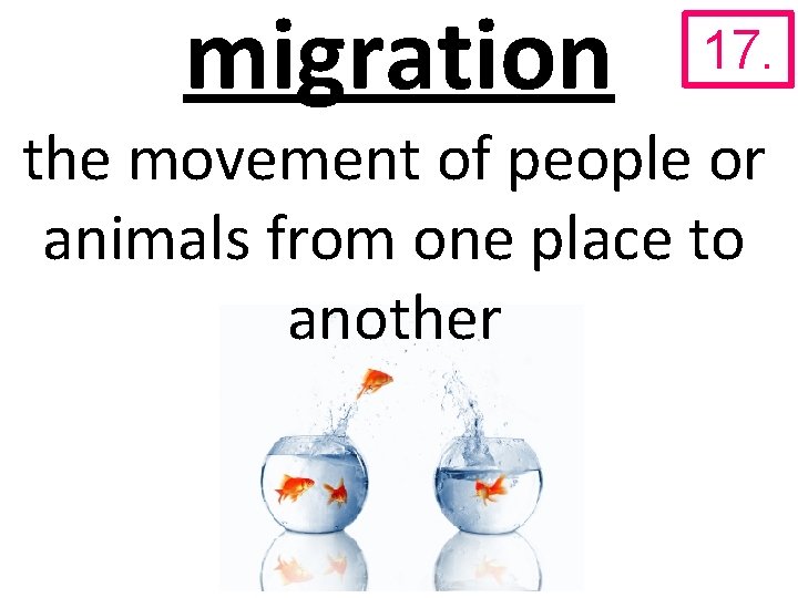 migration 17. the movement of people or animals from one place to another 