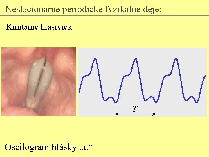 Nestacionárne periodické fyzikálne deje: Kmitanie hlasiviek T Oscilogram hlásky „u“ 