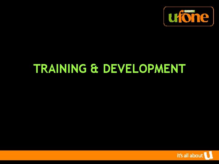 TRAINING & DEVELOPMENT 