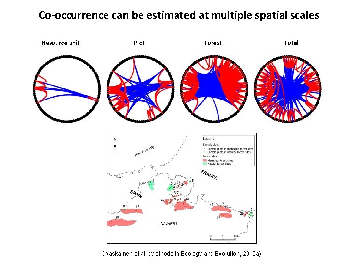Co-occurrence can be estimated at multiple spatial scales Resource unit Plot Forest Ovaskainen et