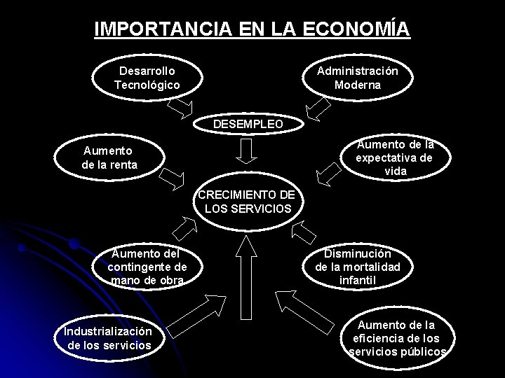 IMPORTANCIA EN LA ECONOMÍA Desarrollo Tecnológico Administración Moderna DESEMPLEO Aumento de la expectativa de