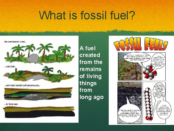 What is fossil fuel? A fuel created from the remains of living things from