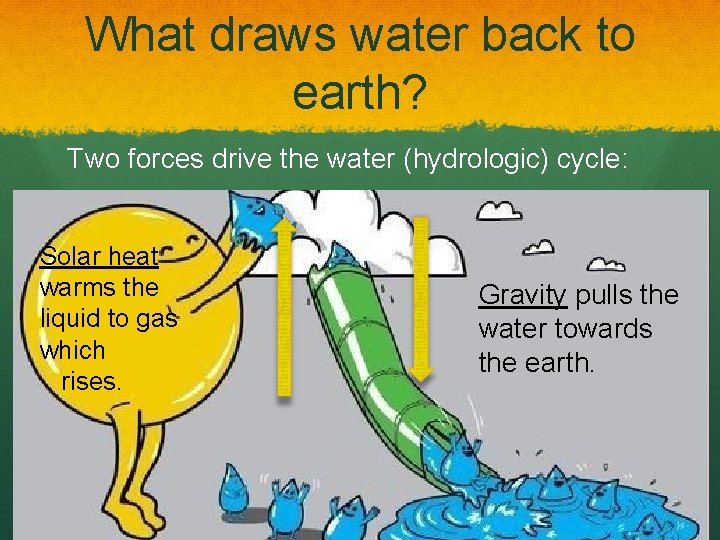 What draws water back to earth? Two forces drive the water (hydrologic) cycle: Solar