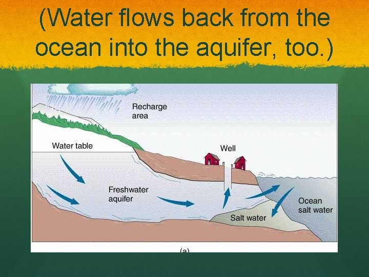 (Water flows back from the ocean into the aquifer, too. ) 