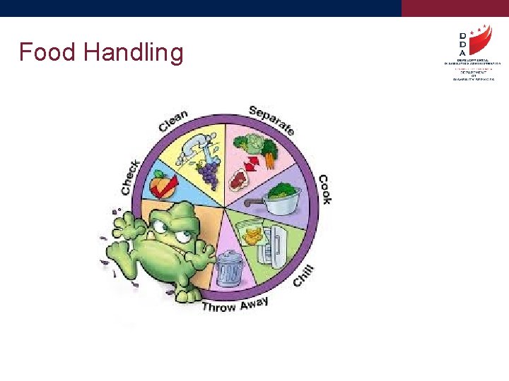 Food Handling 