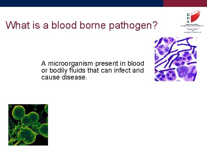 What is a blood borne pathogen? A microorganism present in blood or bodily fluids