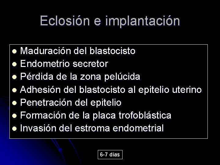 Eclosión e implantación Maduración del blastocisto l Endometrio secretor l Pérdida de la zona