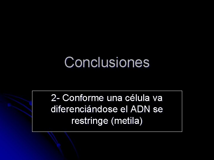 Conclusiones 2 - Conforme una célula va diferenciándose el ADN se restringe (metila) 