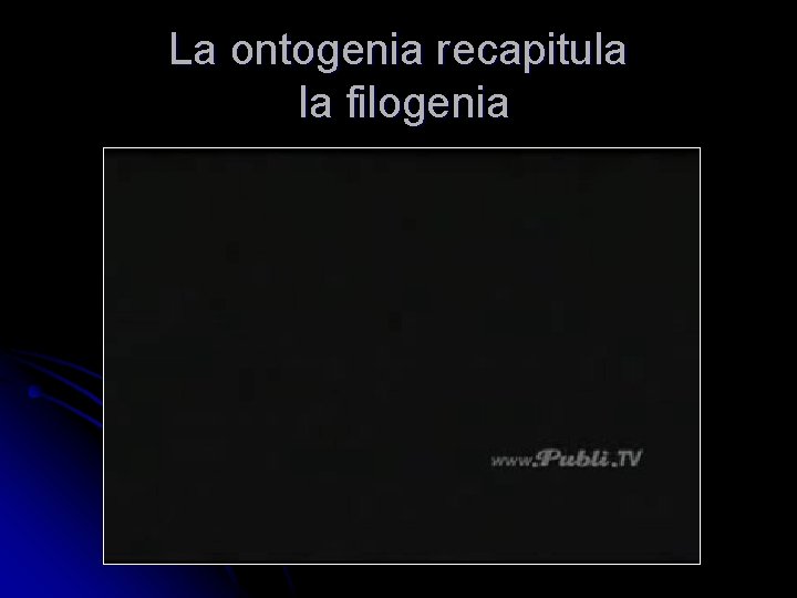 La ontogenia recapitula la filogenia 