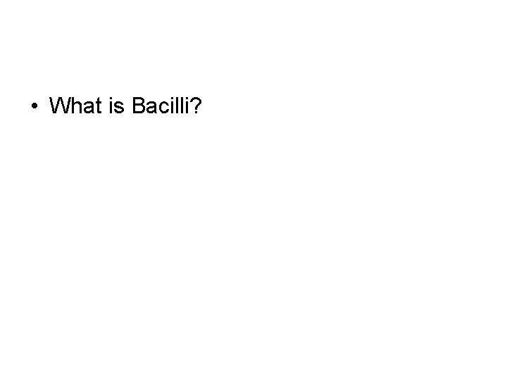  • What is Bacilli? 