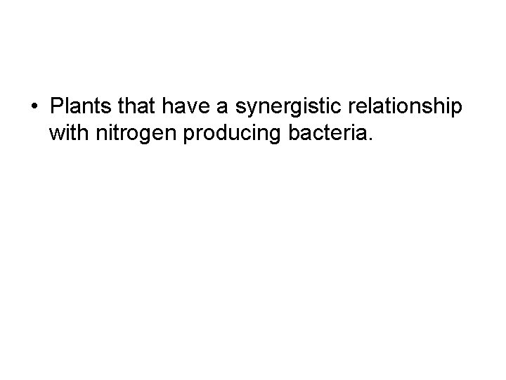  • Plants that have a synergistic relationship with nitrogen producing bacteria. 