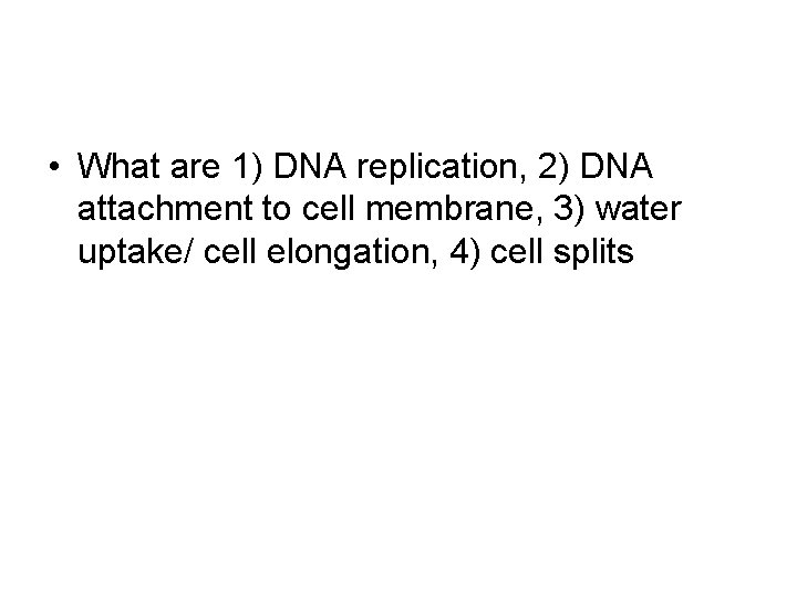  • What are 1) DNA replication, 2) DNA attachment to cell membrane, 3)
