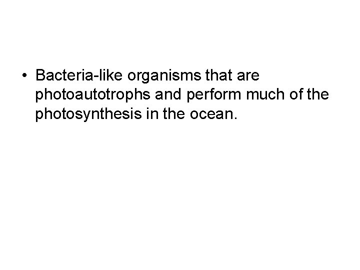  • Bacteria-like organisms that are photoautotrophs and perform much of the photosynthesis in