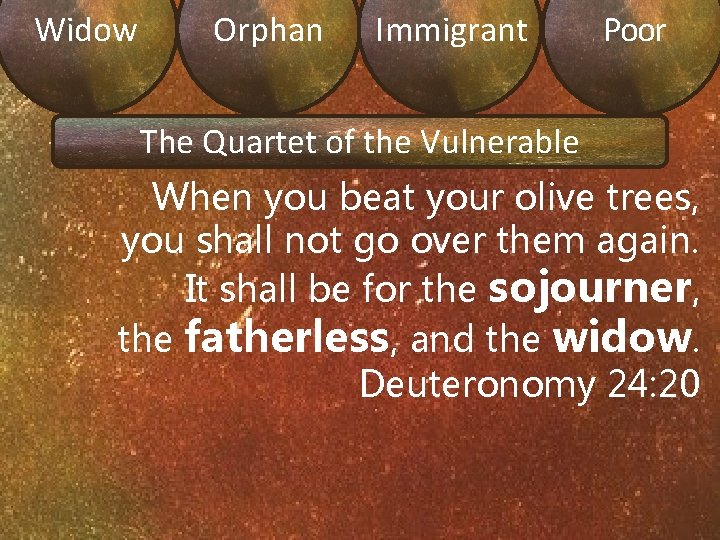 Widow Orphan Immigrant Poor The Quartet of the Vulnerable When you beat your olive