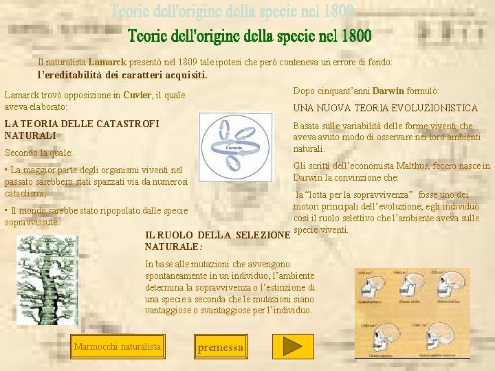 Il naturalista Lamarck presentò nel 1809 tale ipotesi che però conteneva un errore di