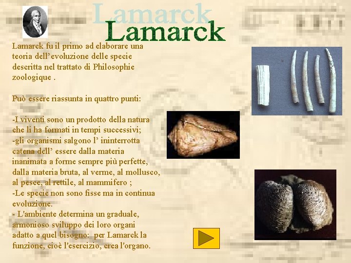 Lamarck fu il primo ad elaborare una teoria dell’evoluzione delle specie descritta nel trattato