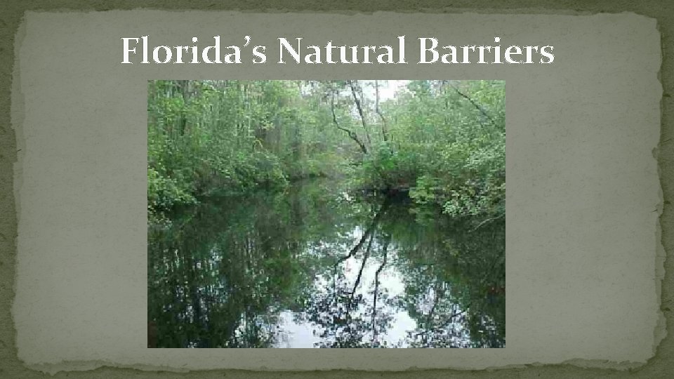 Florida’s Natural Barriers 