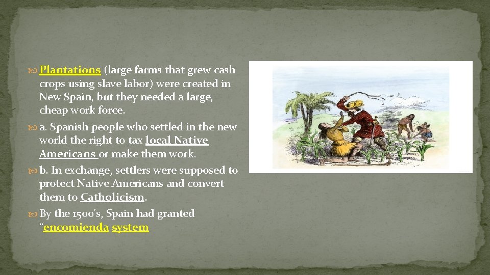  Plantations (large farms that grew cash crops using slave labor) were created in
