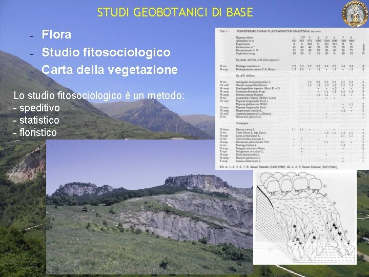 STUDI GEOBOTANICI DI BASE Flora Studio fitosociologico Carta della vegetazione Lo studio fitosociologico è