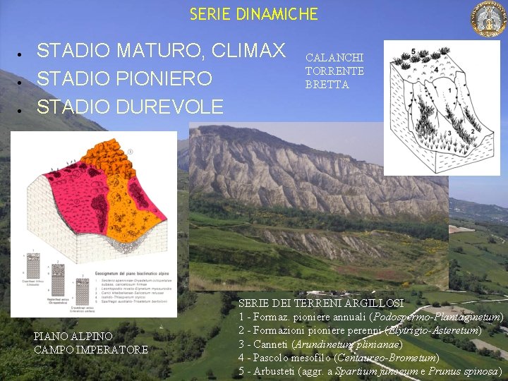 SERIE DINAMICHE STADIO MATURO, CLIMAX STADIO PIONIERO STADIO DUREVOLE PIANO ALPINO CAMPO IMPERATORE CALANCHI