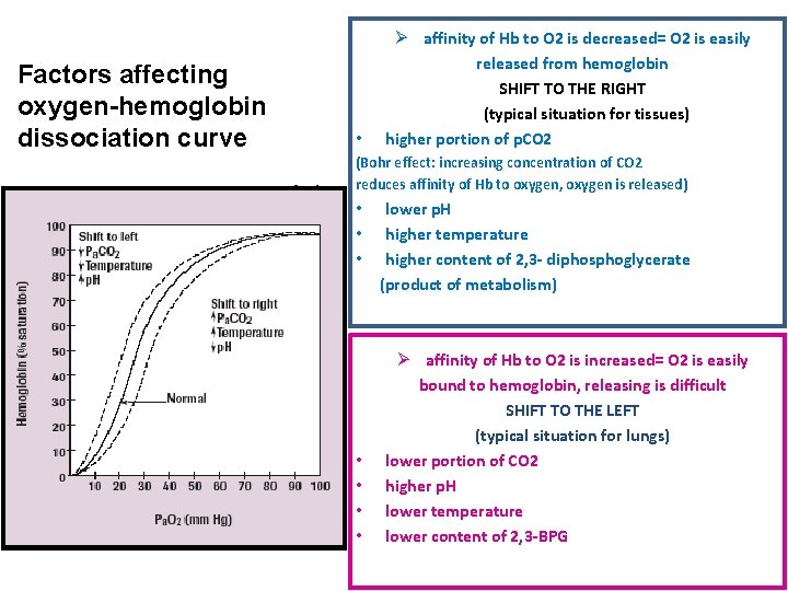 Factors affecting oxygen-hemoglobin dissociation curve • Ø affinity of Hb to O 2 is