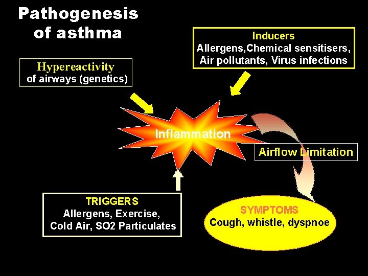 Pathogenesis of asthma Inducers Allergens, Chemical sensitisers, Air pollutants, Virus infections Hypereactivity of airways