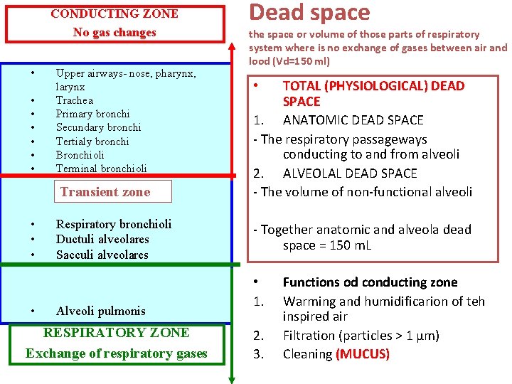 CONDUCTING ZONE No gas changes • • Upper airways- nose, pharynx, larynx Trachea Primary