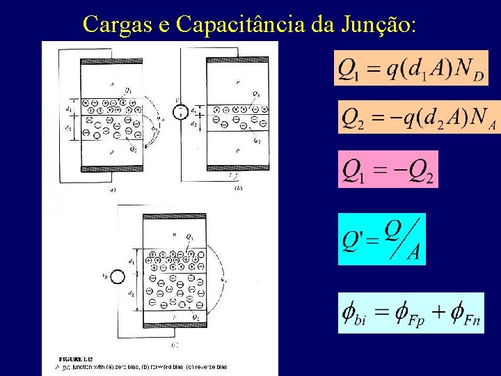 Cargas e Capacitância da Junção: 