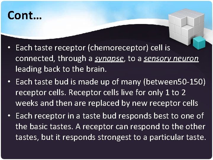 Cont… • Each taste receptor (chemoreceptor) cell is connected, through a synapse, to a