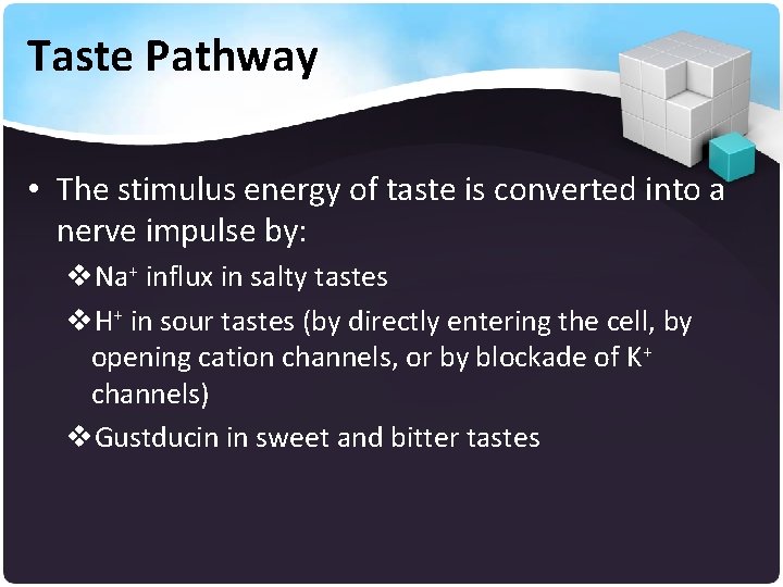 Taste Pathway • The stimulus energy of taste is converted into a nerve impulse