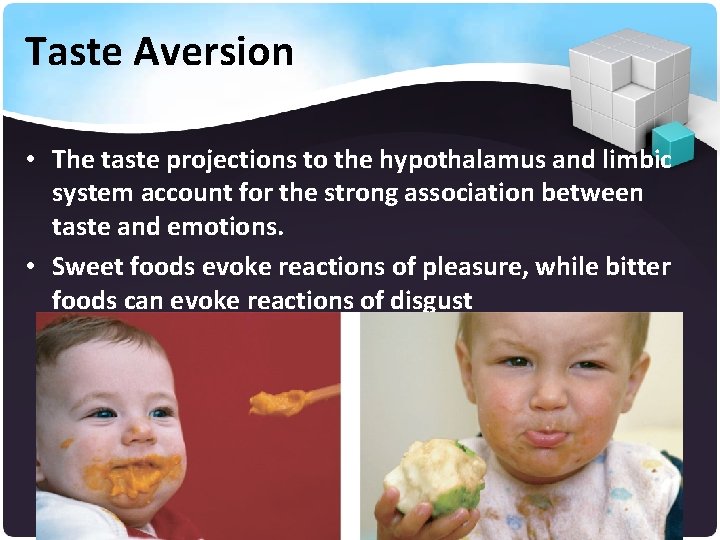 Taste Aversion • The taste projections to the hypothalamus and limbic system account for