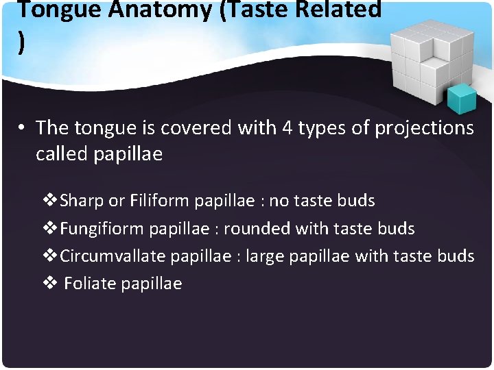 Tongue Anatomy (Taste Related ) • The tongue is covered with 4 types of