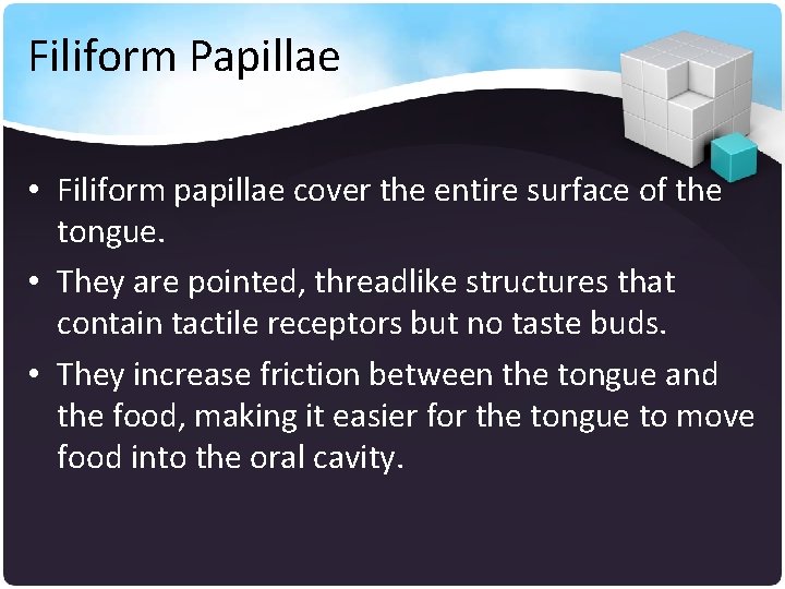 Filiform Papillae • Filiform papillae cover the entire surface of the tongue. • They