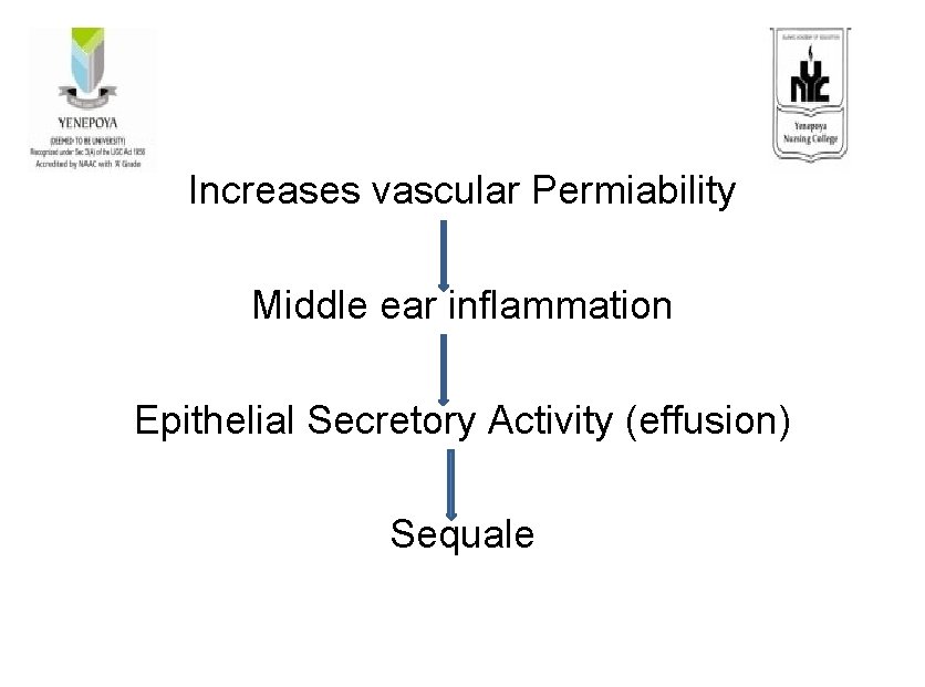 Increases vascular Permiability Middle ear inflammation Epithelial Secretory Activity (effusion) Sequale 