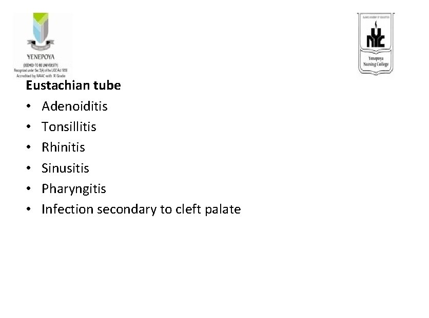 Eustachian tube • Adenoiditis • Tonsillitis • Rhinitis • Sinusitis • Pharyngitis • Infection