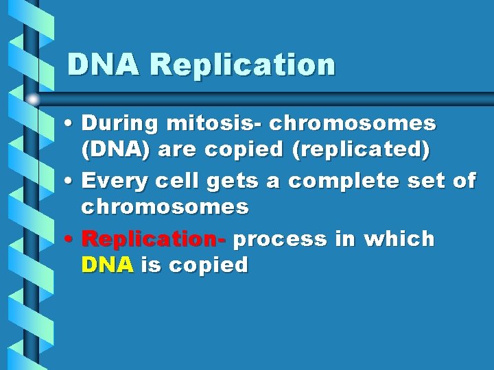 DNA Replication • During mitosis- chromosomes (DNA) are copied (replicated) • Every cell gets