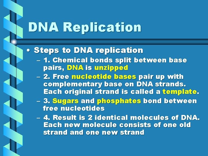 DNA Replication • Steps to DNA replication – 1. Chemical bonds split between base