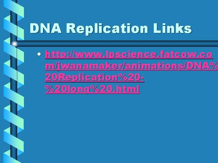 DNA Replication Links • http: //www. lpscience. fatcow. co m/jwanamaker/animations/DNA% 20 Replication%20%20 long%20. html