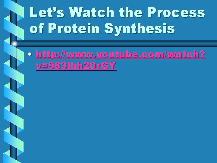 Let’s Watch the Process of Protein Synthesis • http: //www. youtube. com/watch? v=983 lhh