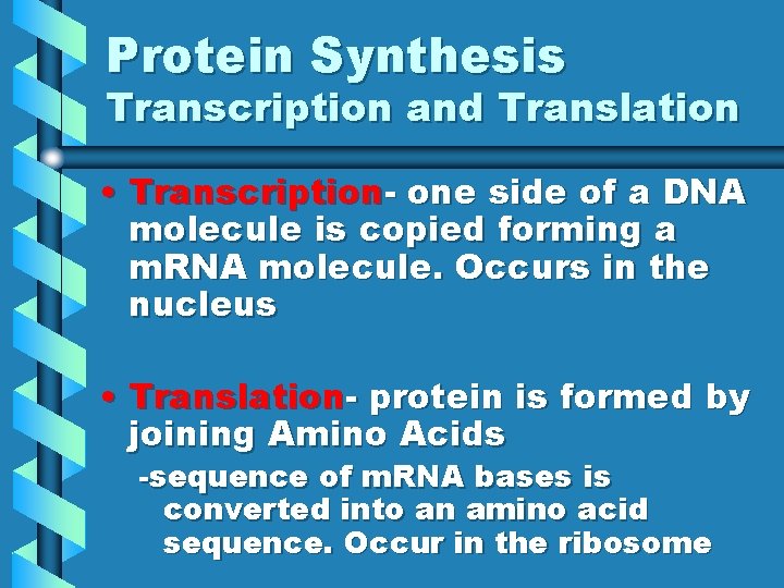 Protein Synthesis Transcription and Translation • Transcription- one side of a DNA molecule is