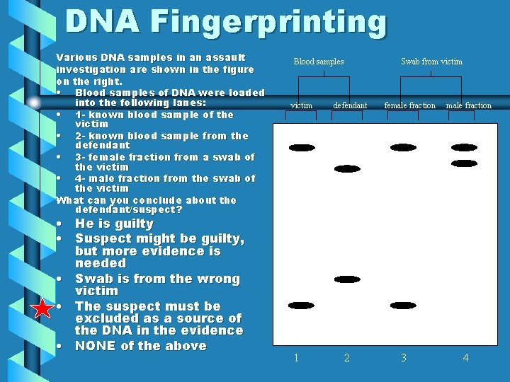 DNA Fingerprinting Various DNA samples in an assault investigation are shown in the figure