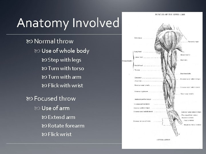 Anatomy Involved Normal throw Use of whole body Step with legs Turn with torso