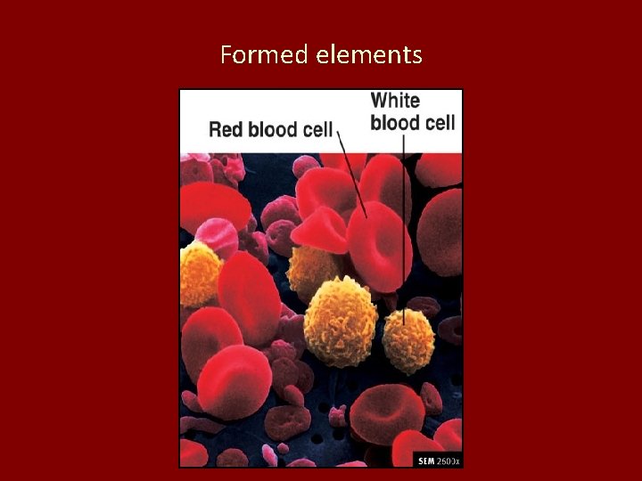 Formed elements Formed elements
