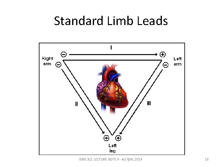 Standard Limb Leads BME 311 LECTURE NOTE 4 - ALİ IŞIN, 2014 18 