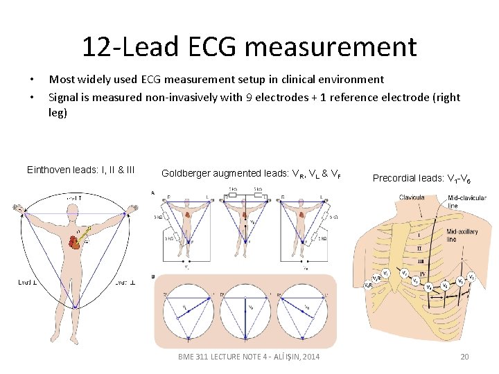 12 -Lead ECG measurement • • Most widely used ECG measurement setup in clinical