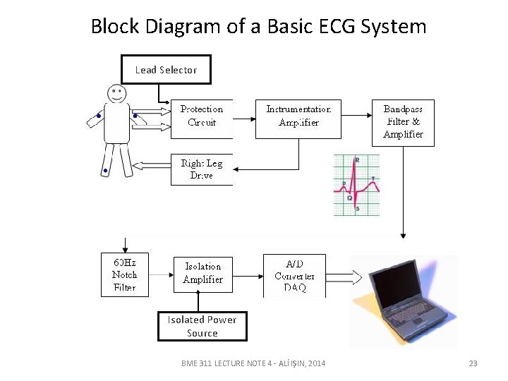 Block Diagram of a Basic ECG System Lead Selector Isolated Power Source BME 311
