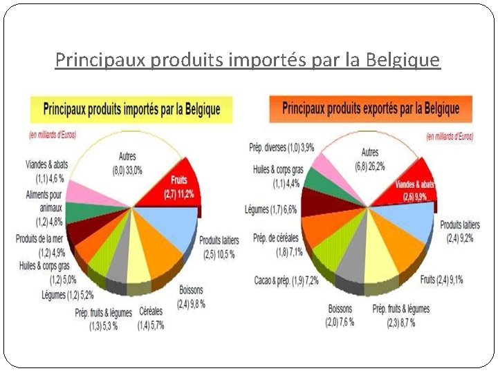 Principaux produits importés par la Belgique 