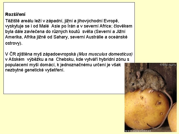 Zbarvené hřbetu je tmavší, šedo- je Rozšíření Těžiště areálu leží v západní, jižní a